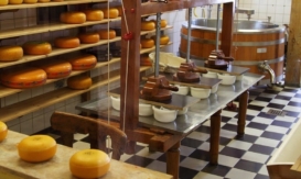 ¿Cómo se hace el queso? El fascinante proceso detrás de este manjar