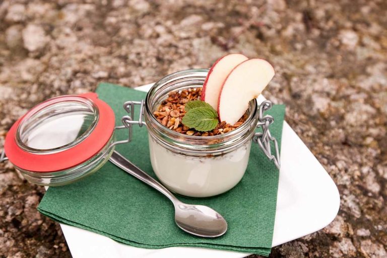 que es el yogur