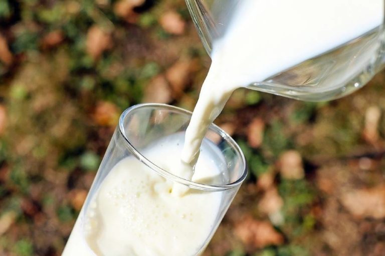 Tipos de leche