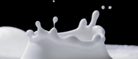 ¿Por qué es importante la vitamina D de la leche? ¿Por qué es importante la vitamina D de la leche?