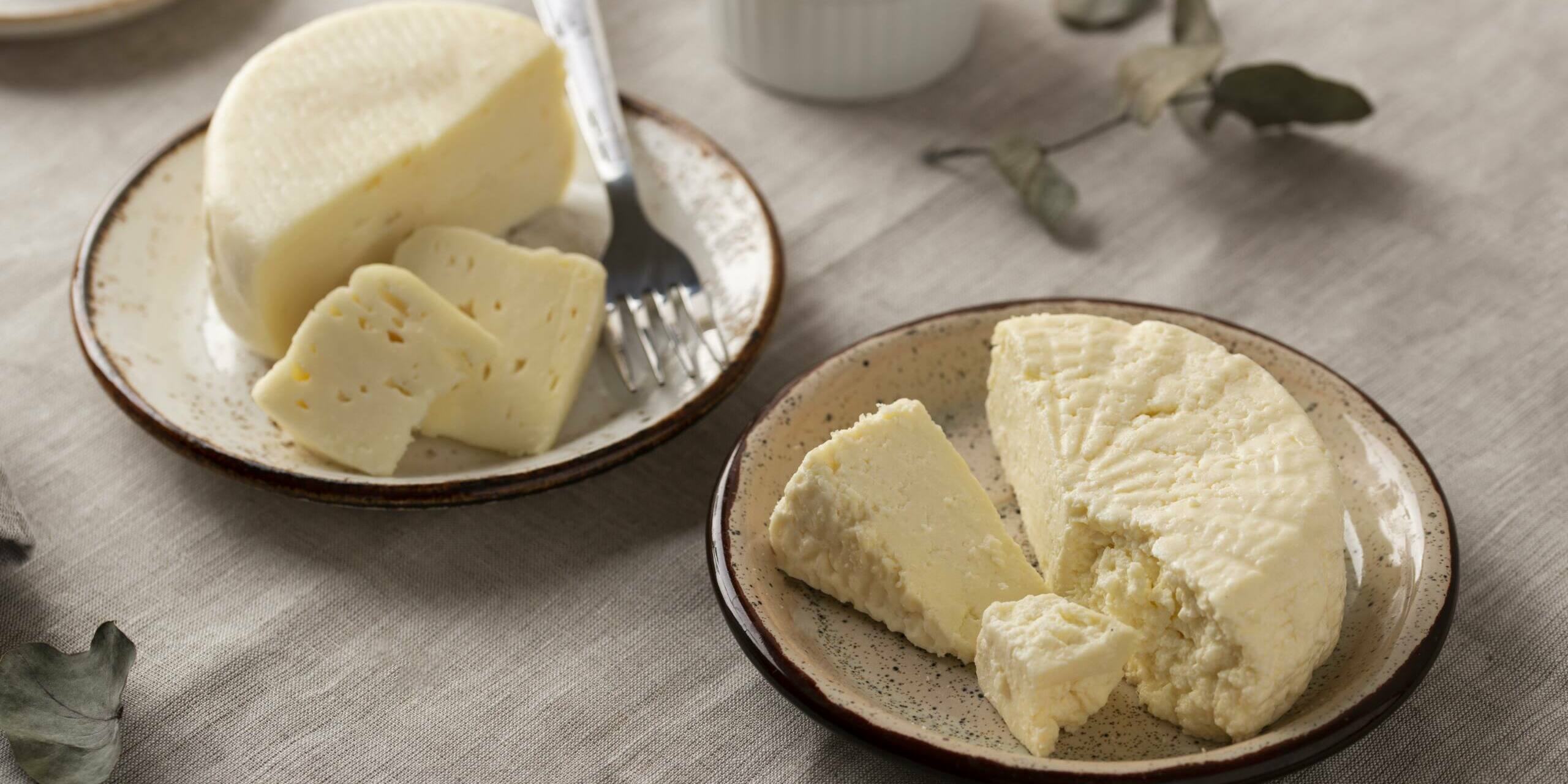 arreglo-tradicional-de-queso-paneer