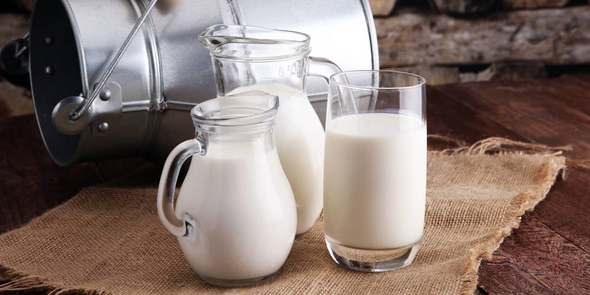 leche Leche.