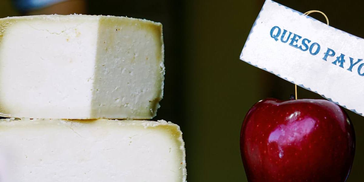 Queso payoyo.