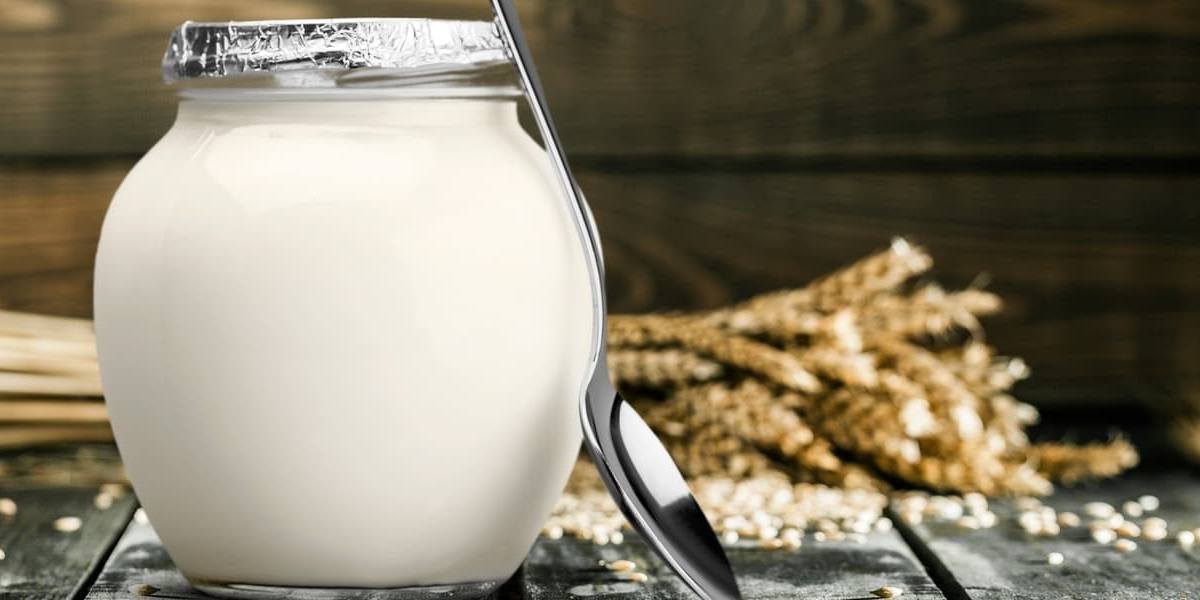 yogur-con-bifidus Bífidus: qué es