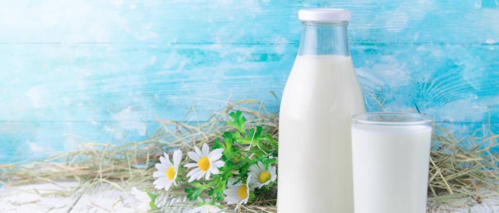Leche fresca o leche normal: ¿cuáles son las diferencias? Leche fresca o leche normal: ¿cuáles son las diferencias?