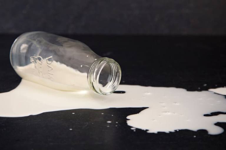 Leche derramada.