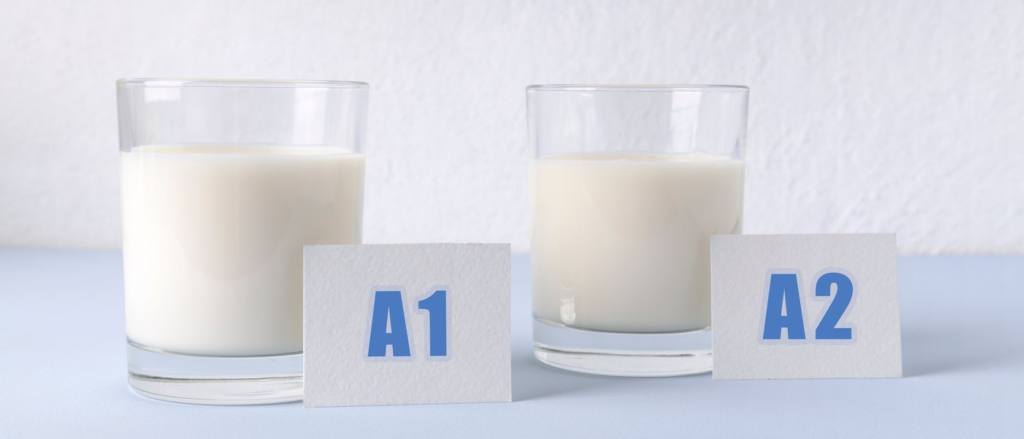 Leche A2 Protein de COVAP, la última leche apta para alérgicos a la caseína Leche A2 Protein de COVAP, la última leche apta para alérgicos a la caseína