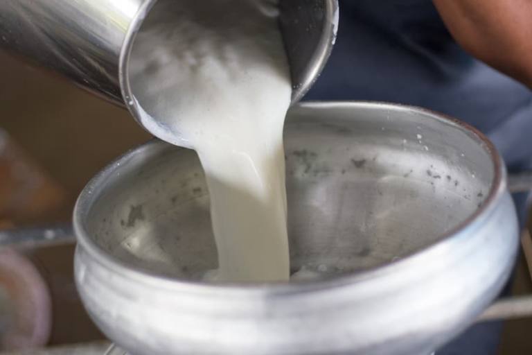 Leche de cabra vs leche de vaca