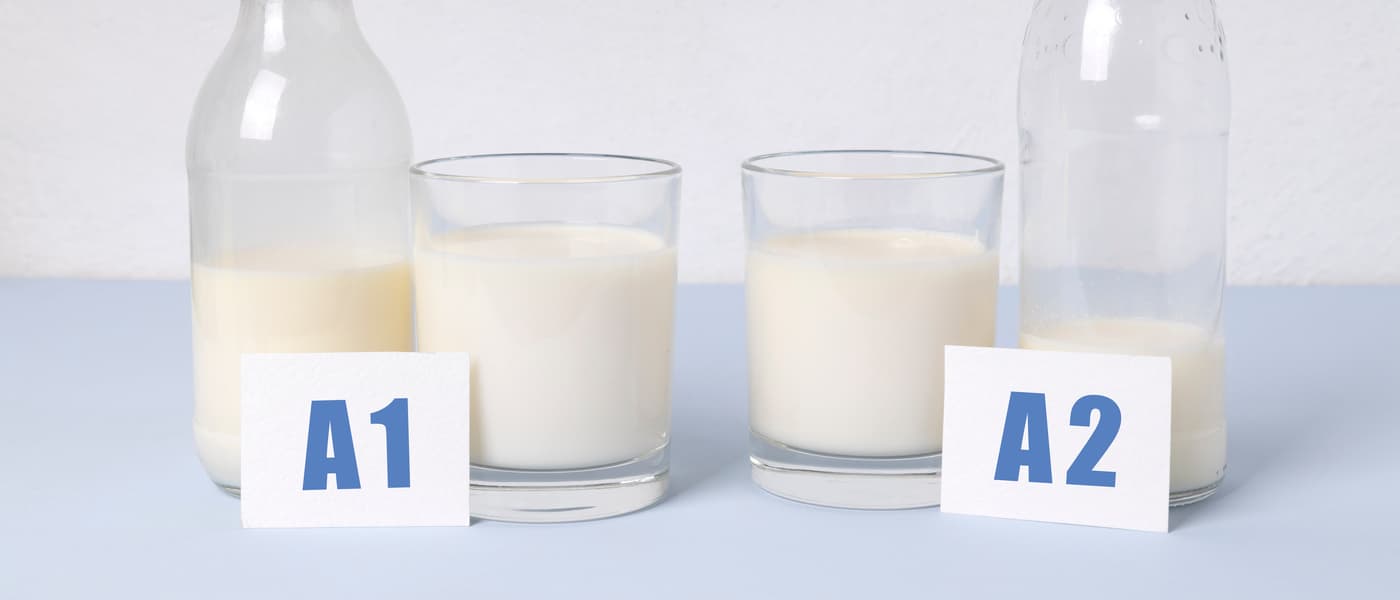 Diferencias entre la leche A1 y la leche A2.