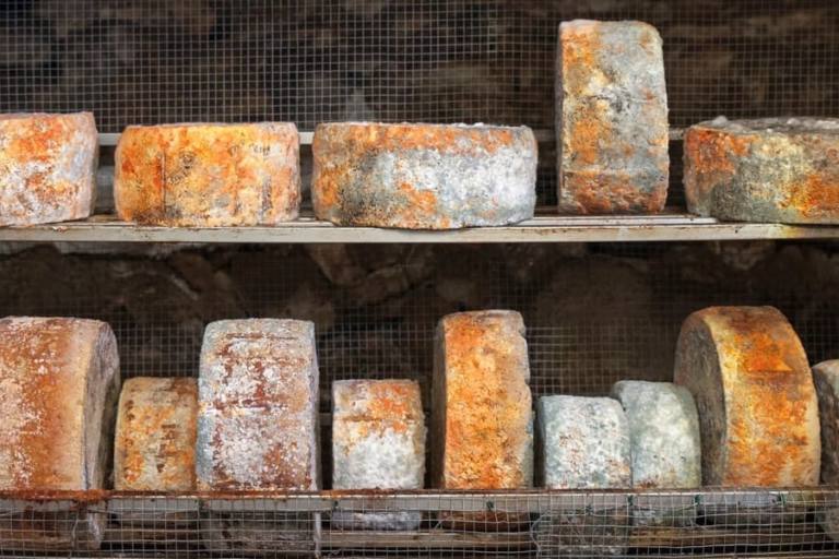 queso-gamoneu Queso Gamonéu.