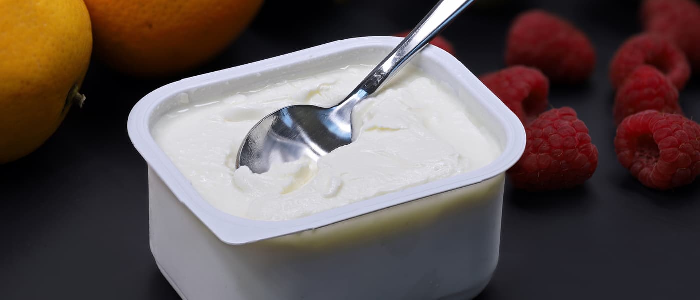 Queso Quark Un Excelente Acompa ante De Desayunos Queso Quark Un Excelente Acompa ante De Desayunos