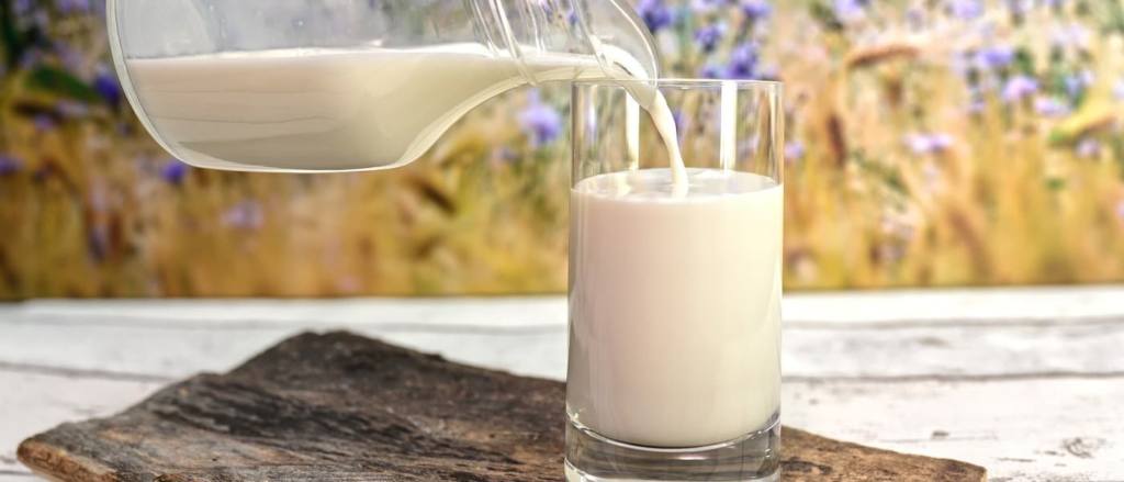 La Organización Interprofesional Láctea lanza una iniciativa para poner en valor el consumo de lácteos