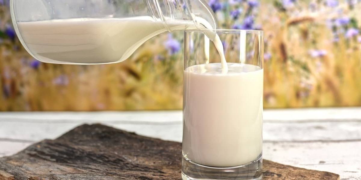 vaso-de-leche Vaso de leche.