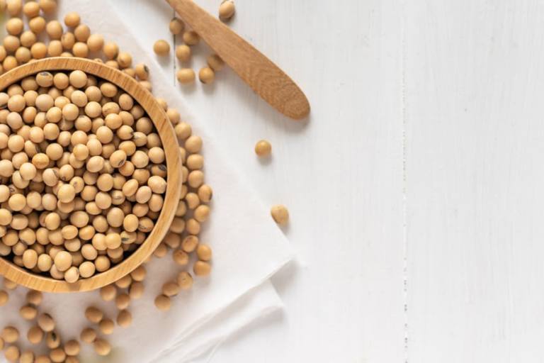 Granos de soja.
