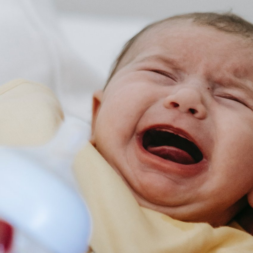 Los bebés con alergia a la leche de vaca pueden negarse a ingerir la toma.