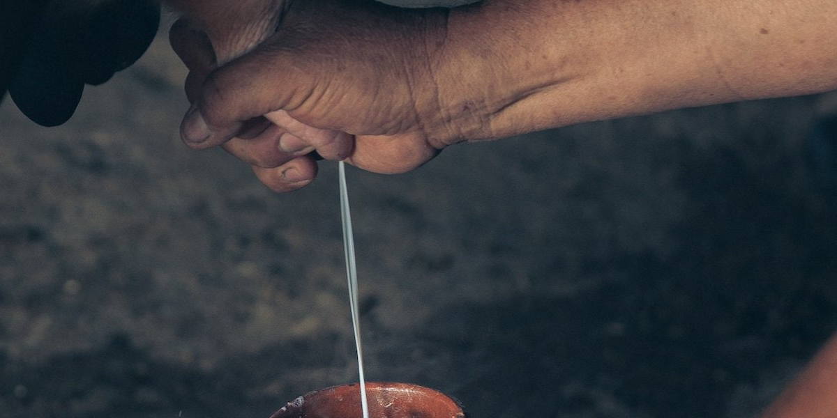 leche-7000-años (1) La leche ya era una industria en el Neolítico.