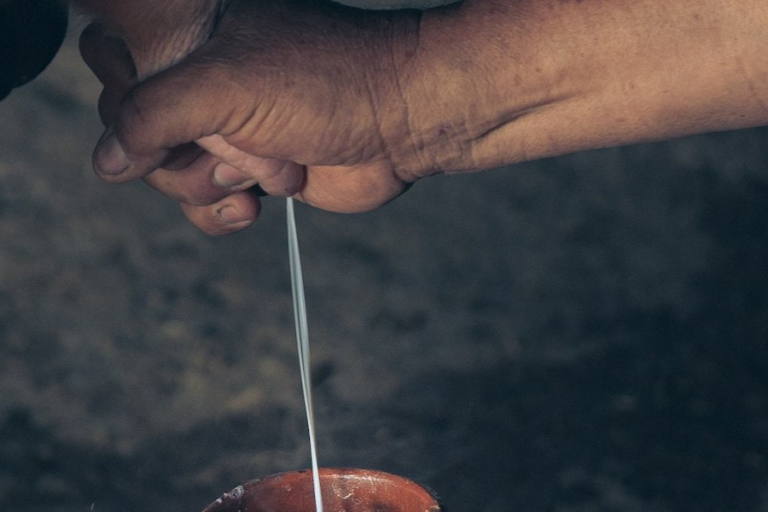 leche-7000-años (1) La leche ya era una industria en el Neolítico.