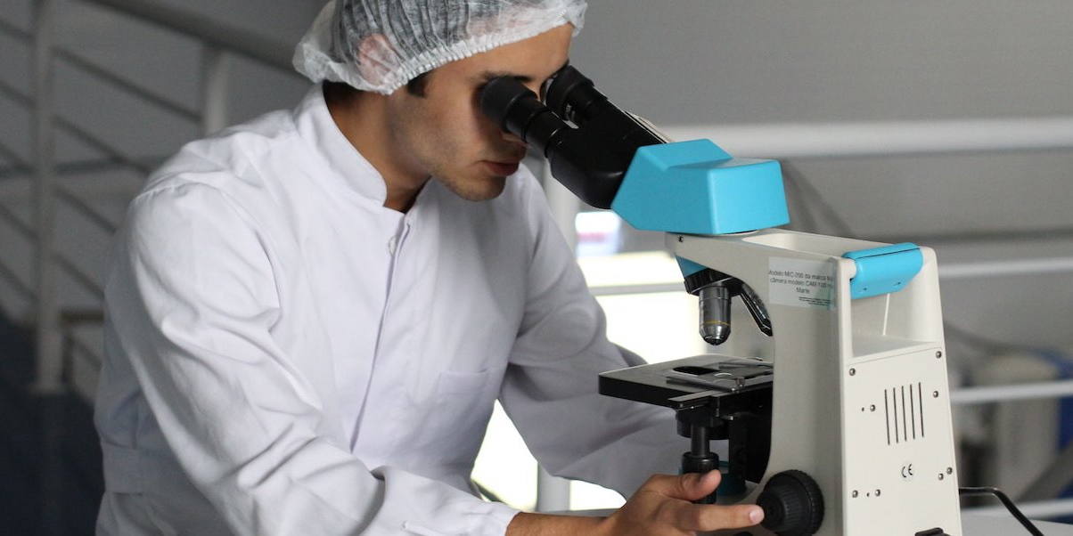 pascual Pascual invertirá en investigaciones sobre proteínas alternativas y fermentos de microbios.