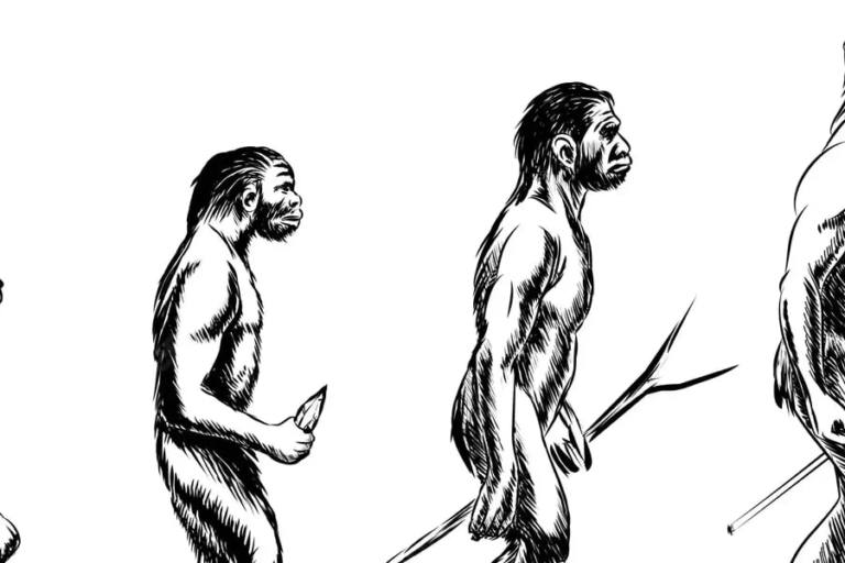 leche evolucion humana El consumo de leche cruda en lugar de queso o yogur propició el aumento de estatura y masa muscular.