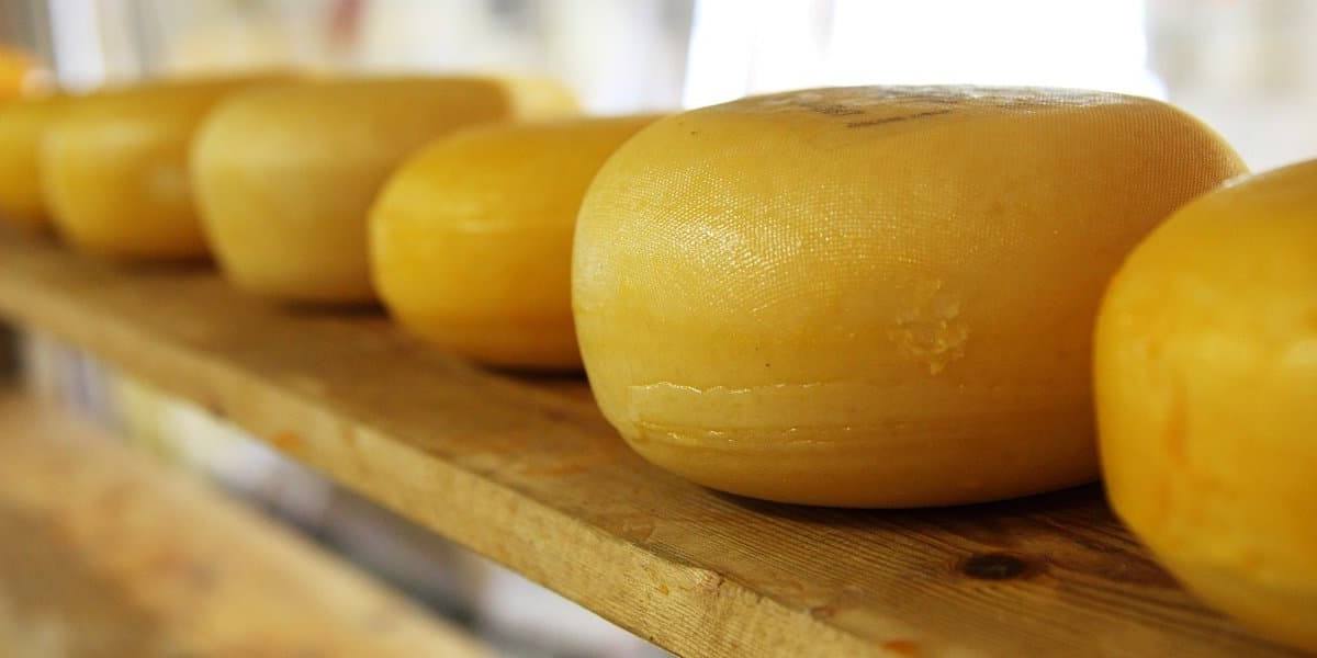 El proyecto Go Orleans busca reducir desperdicios y reaprovechar el suero lácteo.