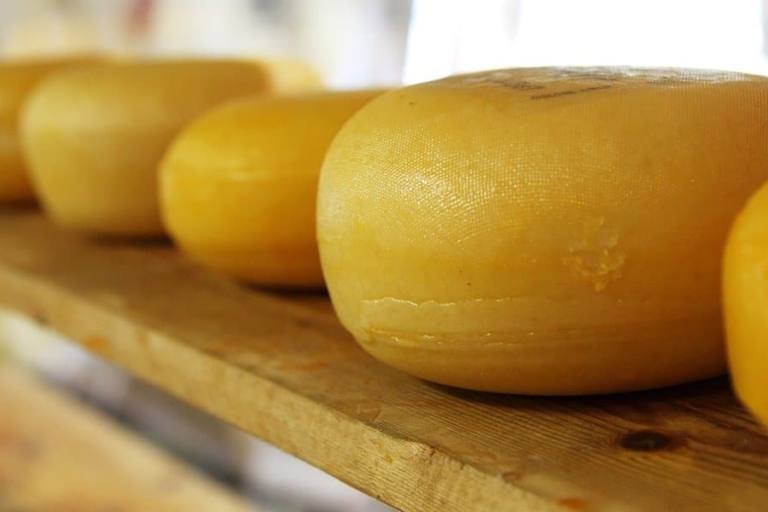 El proyecto Go Orleans busca reducir desperdicios y reaprovechar el suero lácteo.