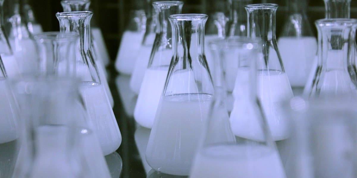 Danone investigará procesos de fermentación para productos vegetales.