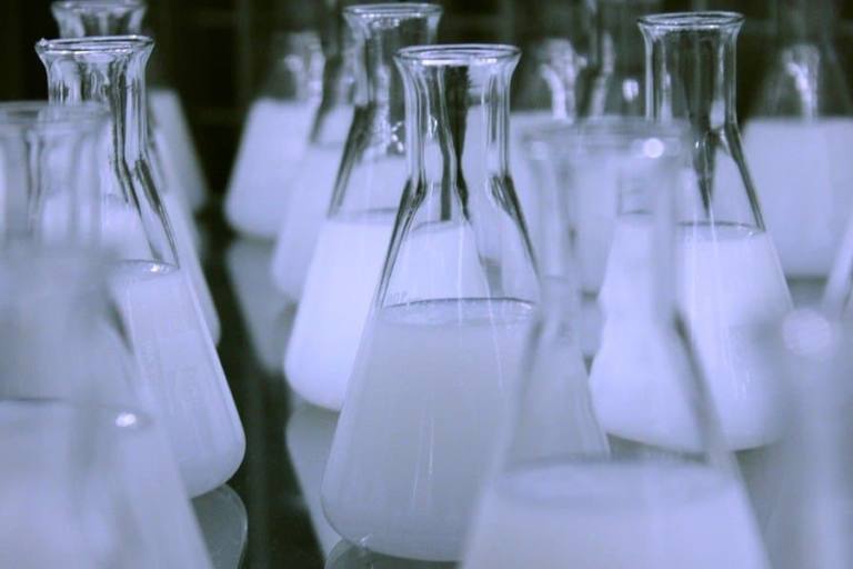 Danone investigará procesos de fermentación para productos vegetales.