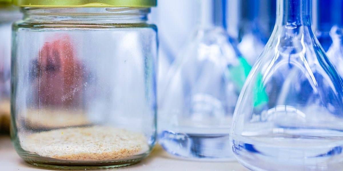 Dos grupos de investigación crean una bebida con base de suero lácteo, maracuyá y cebada.