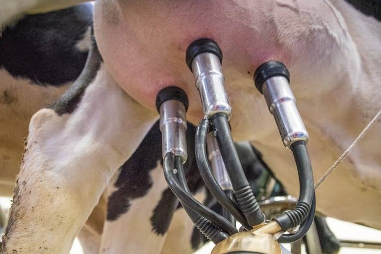 El aumento del precio de leche en origen facilitó el récord de facturación en Galicia