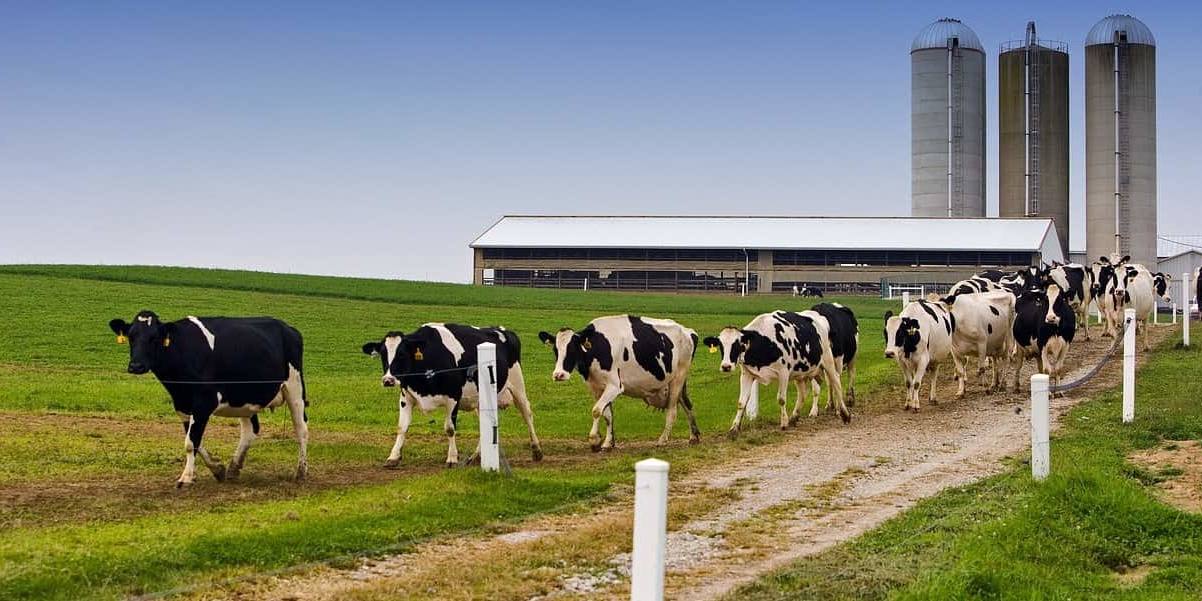 Galicia apoyará proyectos que digitalicen e innoven los modelos de producción.