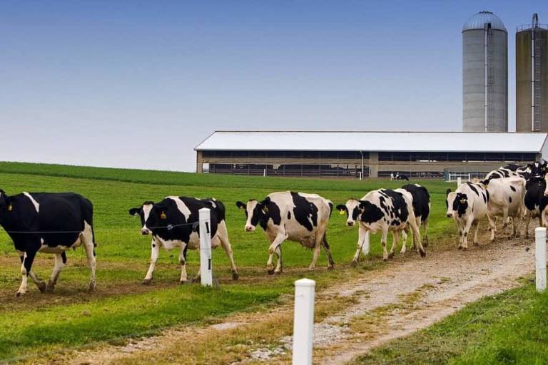 galicia Galicia apoyará proyectos que digitalicen e innoven los modelos de producción.