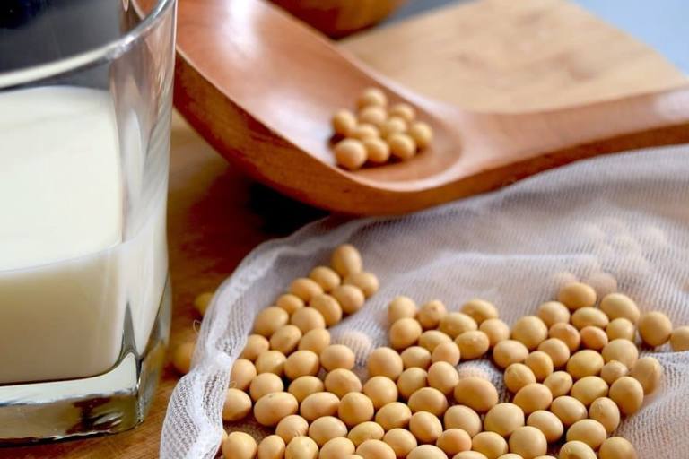 Las autoridades recomiendan a productores de bebidas vegetales etiquetar las diferencias nutricionales respecto a la leche.