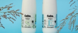 Leche Celta, ¿qué productos ofrece? Leche Celta, ¿qué productos ofrece?