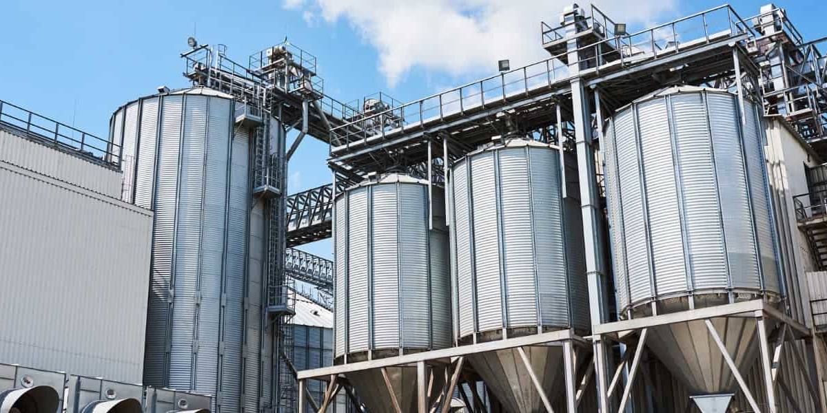 Pascual se alía con una de las empresas líderes en Angola para comercializar en el mercado local.