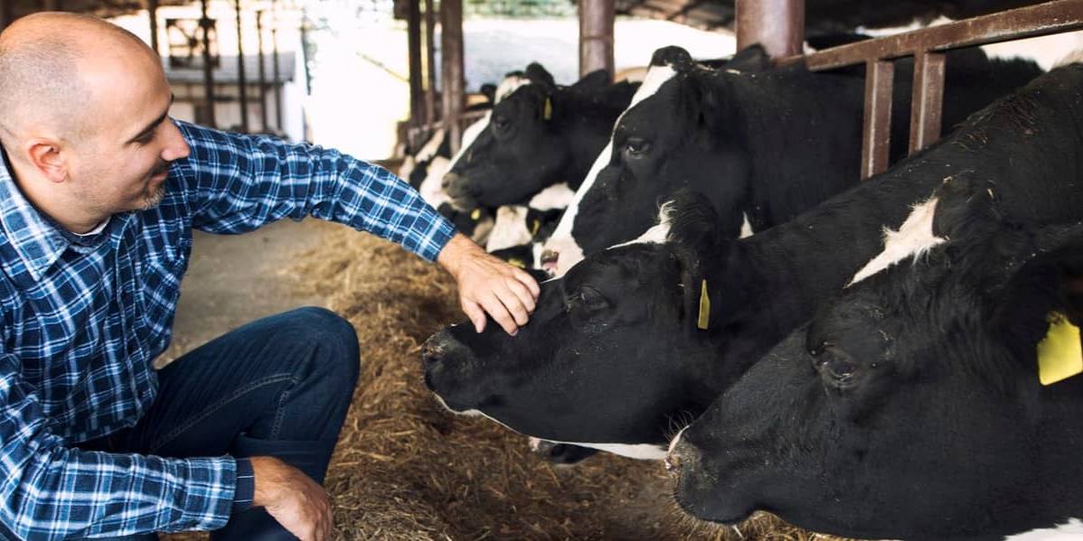 El sector ganadero de leche en Andalucía combate también una crisis de sequía que amenaza a la continuidad.