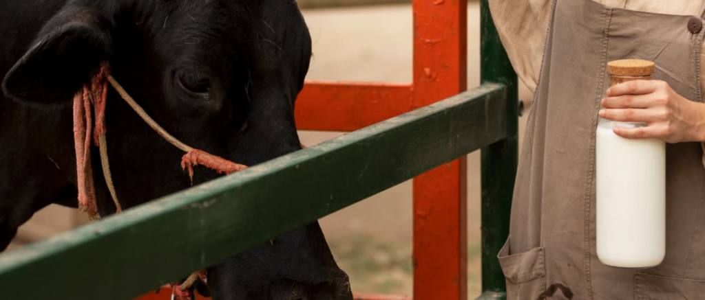 El precio del litro de leche en origen aumentó en abril hasta los 58,5 céntimos El precio del litro de leche en origen aumentó en abril hasta los 58,5 céntimos