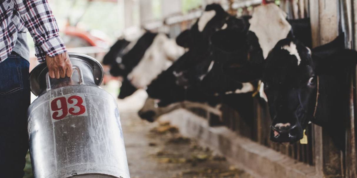 precio leche origen El recorte en el precio de la leche en origen podría causar el cierre de suficientes granjas como para llegar a situaciones de desabestecimiento.