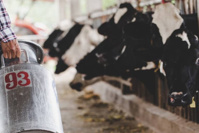 precio leche origen El recorte en el precio de la leche en origen podría causar el cierre de suficientes granjas como para llegar a situaciones de desabestecimiento.