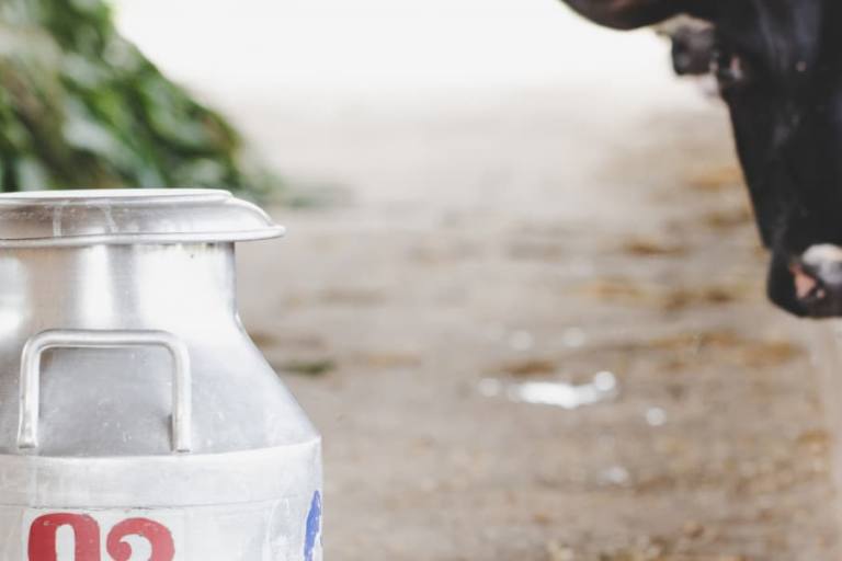 El descenso del precio de litro de leche en Andalucía se agrava hasta llegar a los 9 céntimos menos.