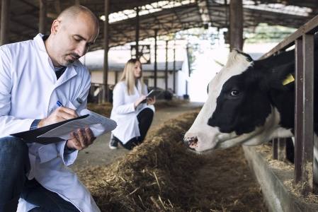 La industria láctea plantea un reajuste de la fiscalidad y garantizar la sucesión generacional.