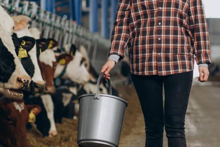 La industria láctea es acusada de contar con amparo institucional para la bajada del precio de la leche en origen.