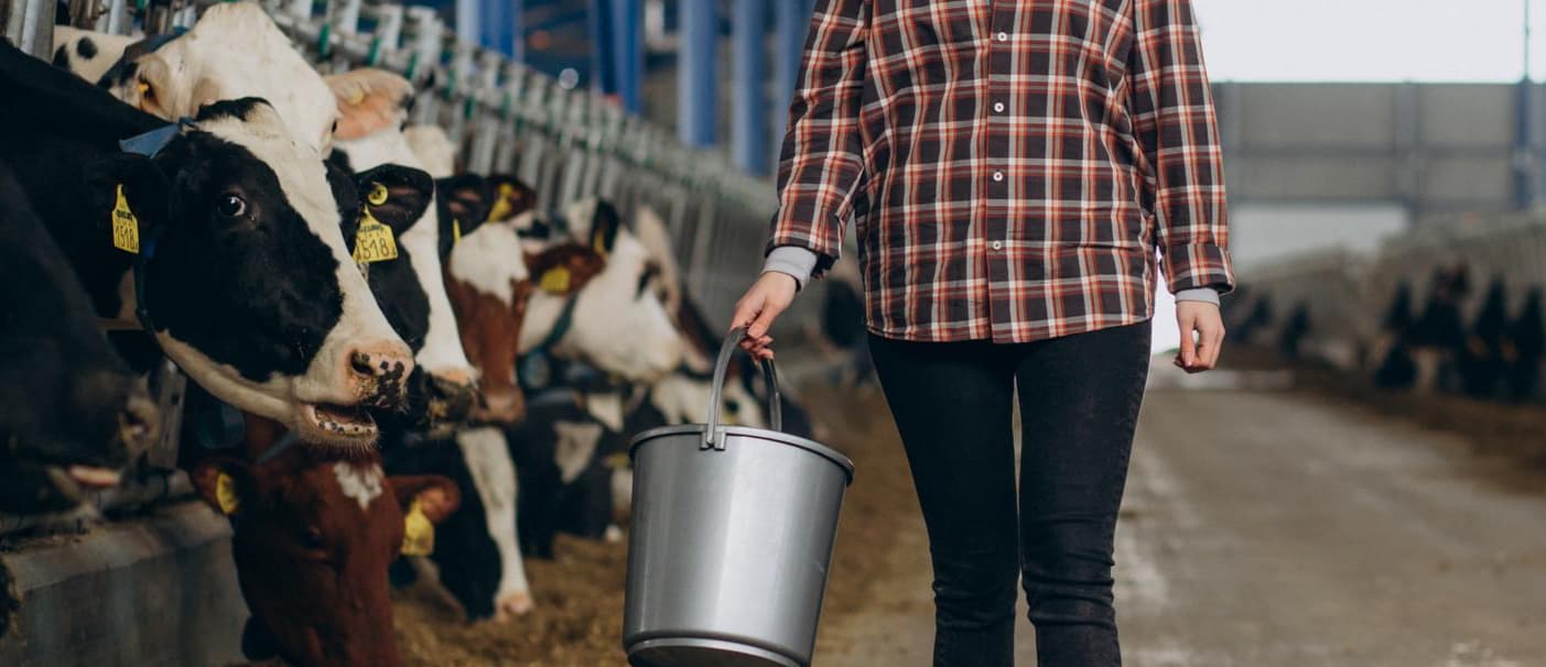 La industria láctea es acusada de contar con amparo institucional para la bajada del precio de la leche en origen.