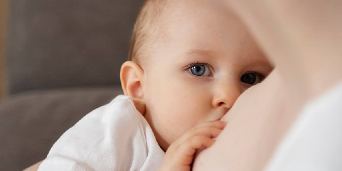 La leche materna ayuda a la activación de la mitocondria.