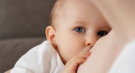La leche materna ayuda a la activación de la mitocondria.