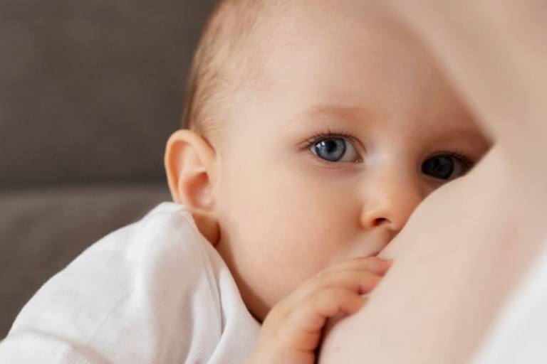 La leche materna ayuda a la activación de la mitocondria.