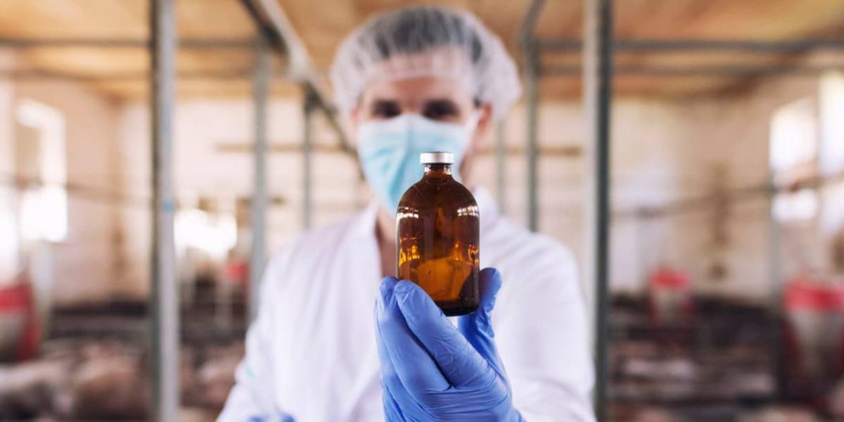 antibiotico leche Los restos de antibióticos obligan a desechar 2 millones de litros de leche al día.