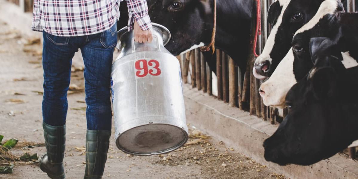La FeNIL ve inconstitucional la prohibición de vender leche a pérdidas.