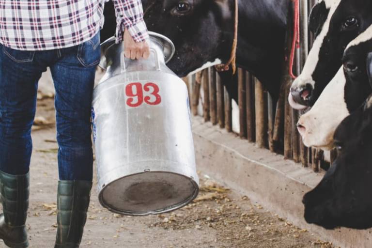 La FeNIL ve inconstitucional la prohibición de vender leche a pérdidas.