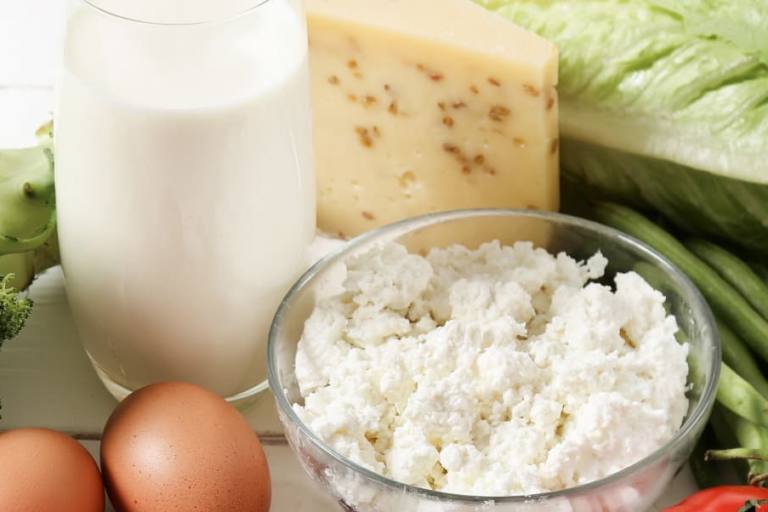 lacteos dieta vegetariana Los lácteos son compatibles con la dieta vegetariana.