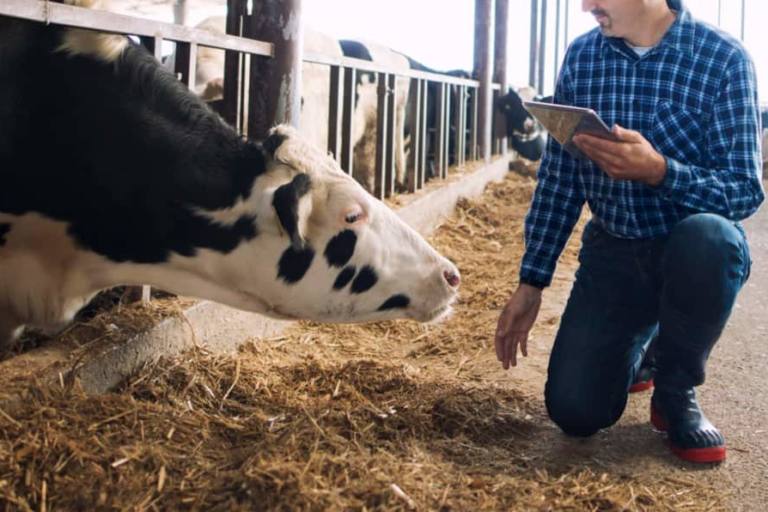 Milkchain emplea tecnología de última generación y pone el resultado a disposición del consumidor.